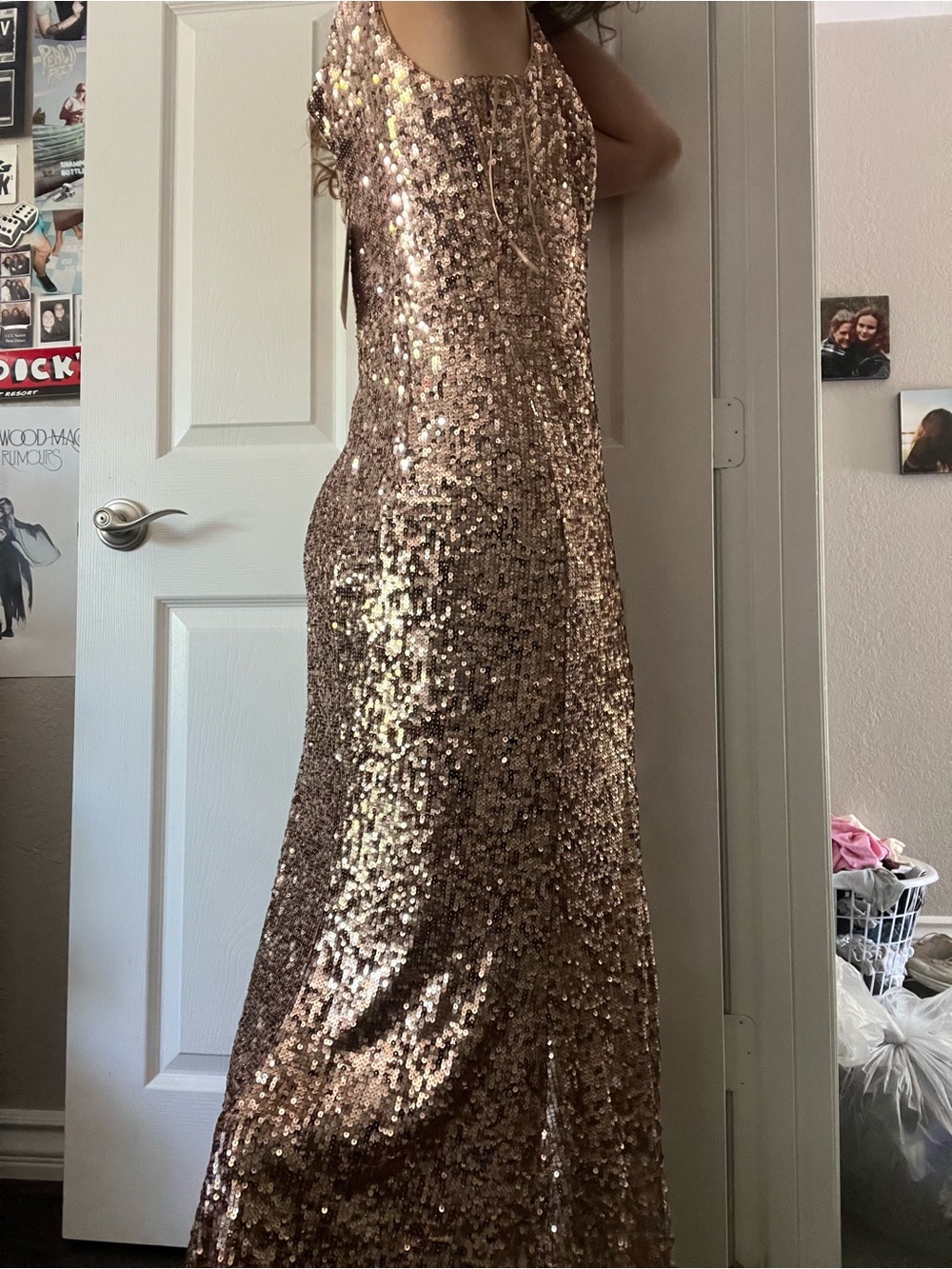 Dress the Population Sequin Gown - Picture 15 of 15